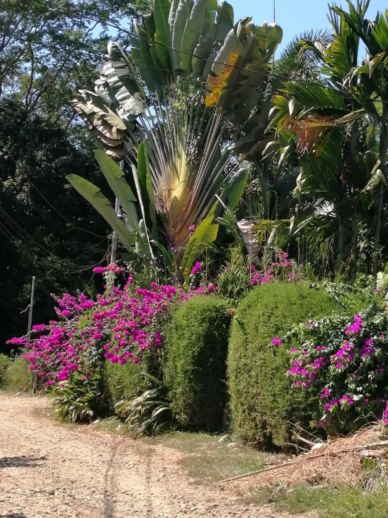 Casa Chanteclair Uvita Exterior photo